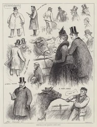 Sketches at the Islington Cattle Show